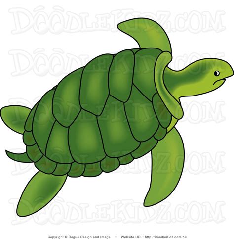 Tudor Branch Turtles 2024 Swim Club Information